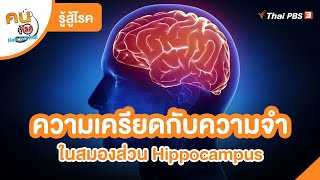 ความเครียดกับความจำในสมองส่วน Hippocampus | รู้สู้โรค | คนสู้โรค