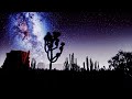 Peaceful desert oasis night sounds for sleep and relaxation  8 hours