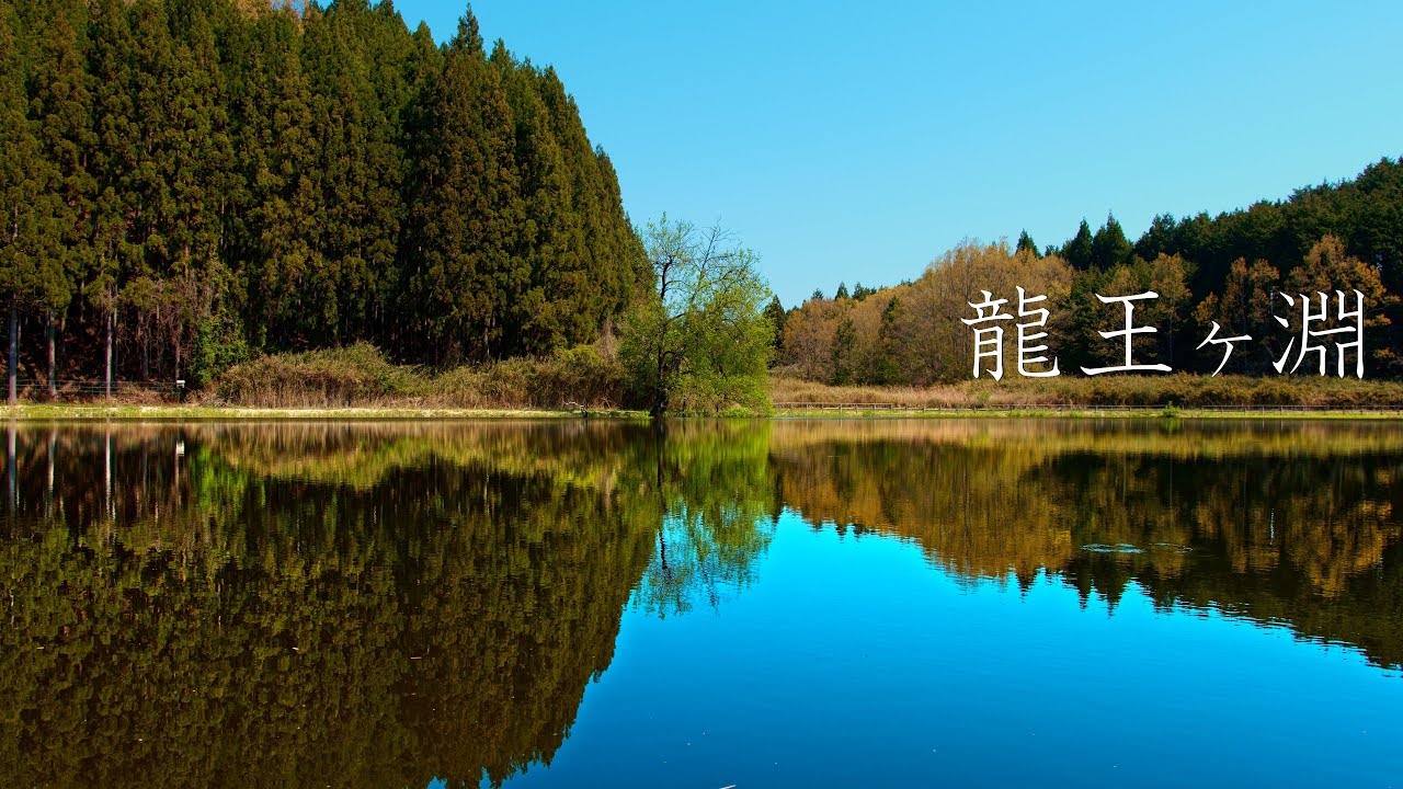 龍王ヶ淵の散策 Walking Around Ryuogabuchi Pond Nara Japan Youtube