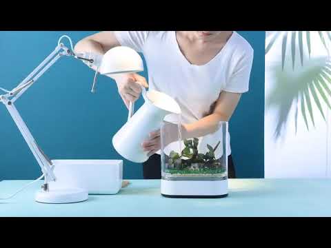 Lazy Fish Tank USB Charging Self-cleaning Aquarium with 7 Colors LED Light from Xiaomi Youpin