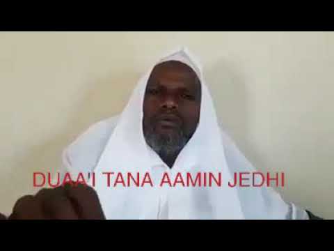 SHEKA ABDUSALAM DU AA I TANA HARKA OLQABII AAMIN JEDHI