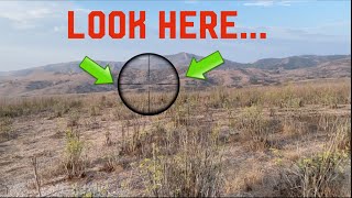 WHAT I LOOK FOR WHEN HUNTING MULE DEER PT.1