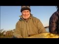 Pesca de Dorado en Goya 2016 (HD)