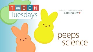 Tween Tuesdays  Peeps Science