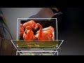 3D Стили "Элегант"- для Proshow Producer I Скачать