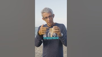 How Are Shells Made?