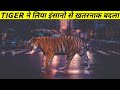 Male Tiger ने इंसानो से लिया अपने बेटे और Partner कि मौत का बदला || The True Story Of Tiger ||