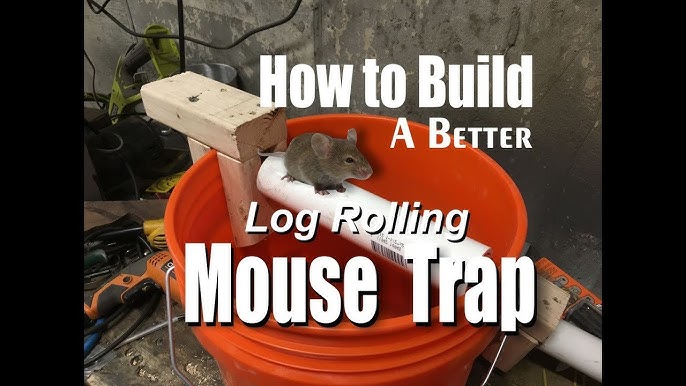 Rolling Log Mouse Trap Rat Bucket Trap Humane Catch or Kill