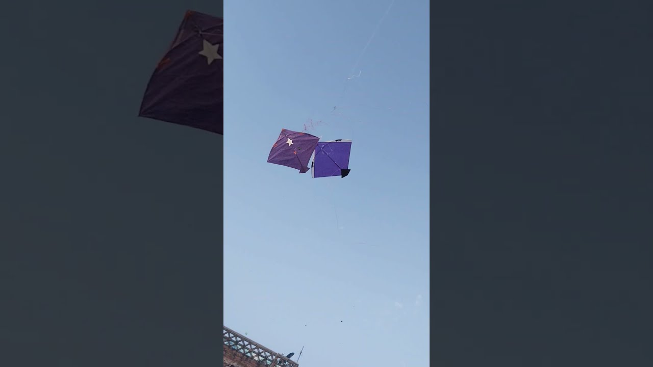 Kite looting  uljhankiteclub  kiteflying  kitelovers  shortvideo