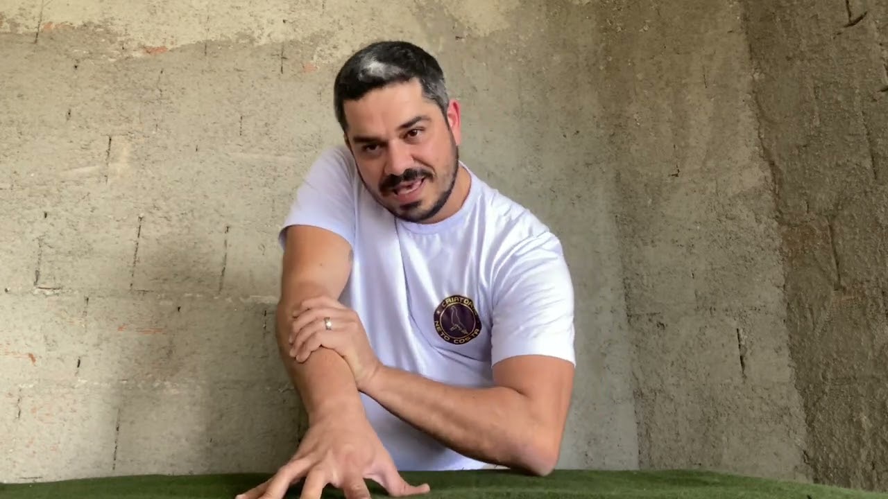 Como revoar os galos corretamente