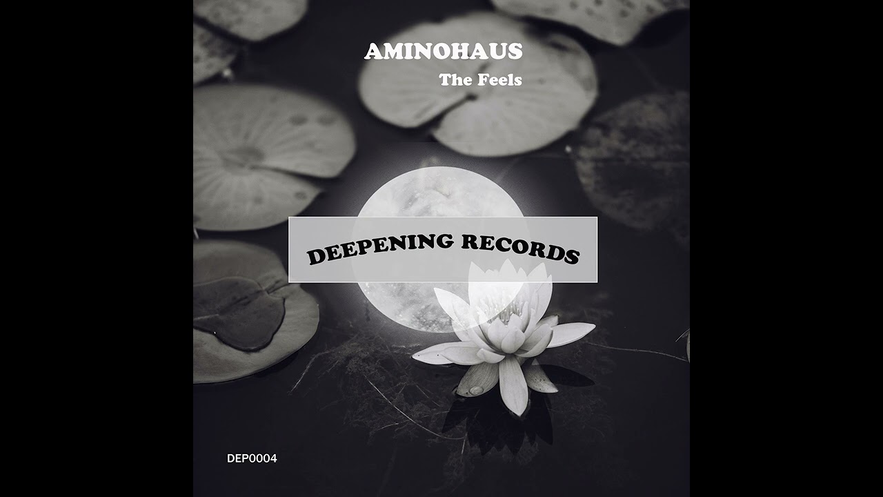 Watch AMINOHAUS - The feels (Original Mix) on YouTube Watch AMINOHAUS - The feels (Original Mix) on YouTube