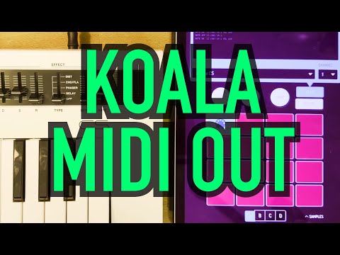 Koala Midi Out Tutorial