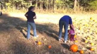 Katiebug Picks A Pumpkin