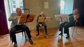 Meester Strijkers van het Domenica Trio
