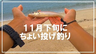 【キス釣り】１１月下旬に砂浜にて、ちょい投げ【サーフ】