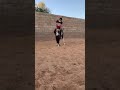 البوني ماهو عاجبه الوضع