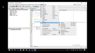 Using the built-in Terminal in NetBeans