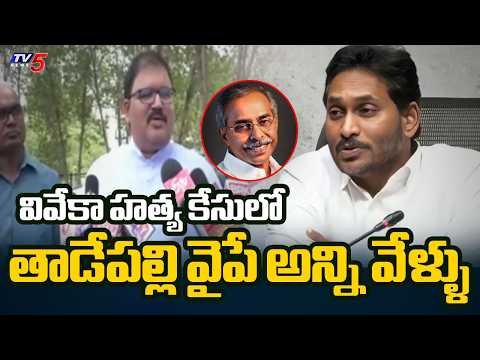 TDP Pattabhi Fires on YS Jagan Over YS Viveka Murder & ₹40 Crore Money Trail | TV5 News - TV5NEWS