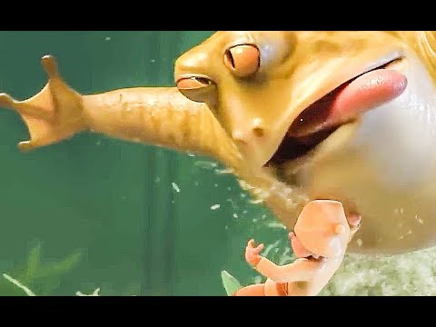Кадры из фильма Тайна магазина игрушек