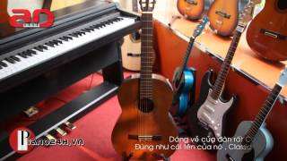 Guitar Classic Aria Concert AC 10 Bn n Guitar Classic Aria Concert AC 10 Piano24hvn