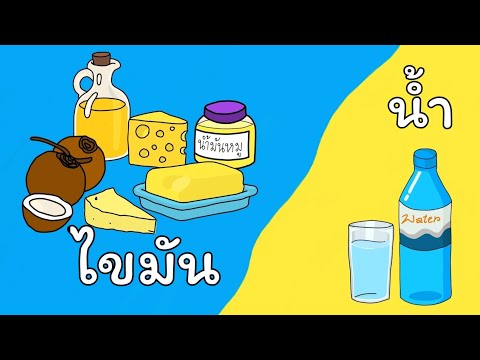 สารอาหารประเภทไขมันและน้ำ | Science by KruAunchan