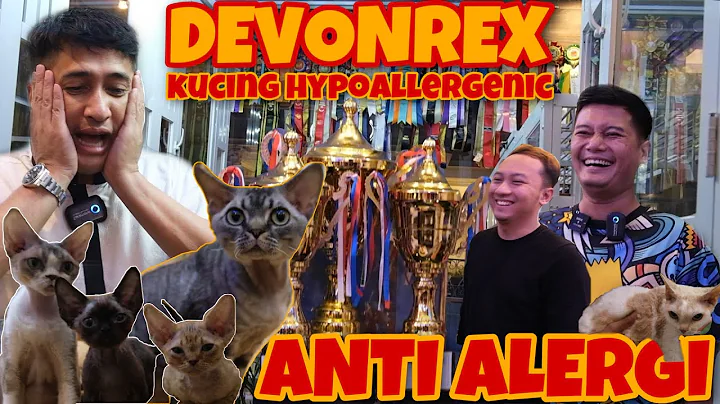 Watch the video about ALIEN CAT!! Devon rex si kucing hypoallergenik solusi mengatasi alergi karena bulu kucing