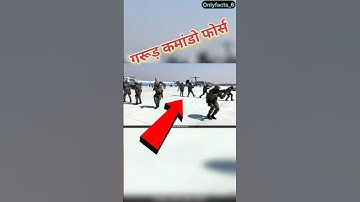गरूड़ कमांडो 🔥 Pakistan Mission l Para Force ✈️  #specialforces #shorts #shortvideo #youtubeshorts🗡️