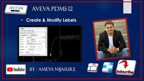 AVEVA PDMS   DRAFT   Create & modify Lebels
