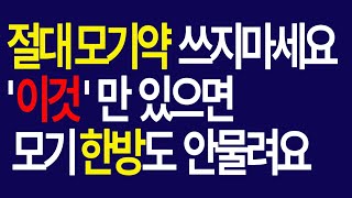 절대 모기약 뿌리지마세요.모기퇴치제 이걸뿌리면 모기 다 도망가요