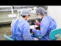 Graduação e Pós-graduação em Odontologia e Pós-graduação em Medicina na UNORTE.