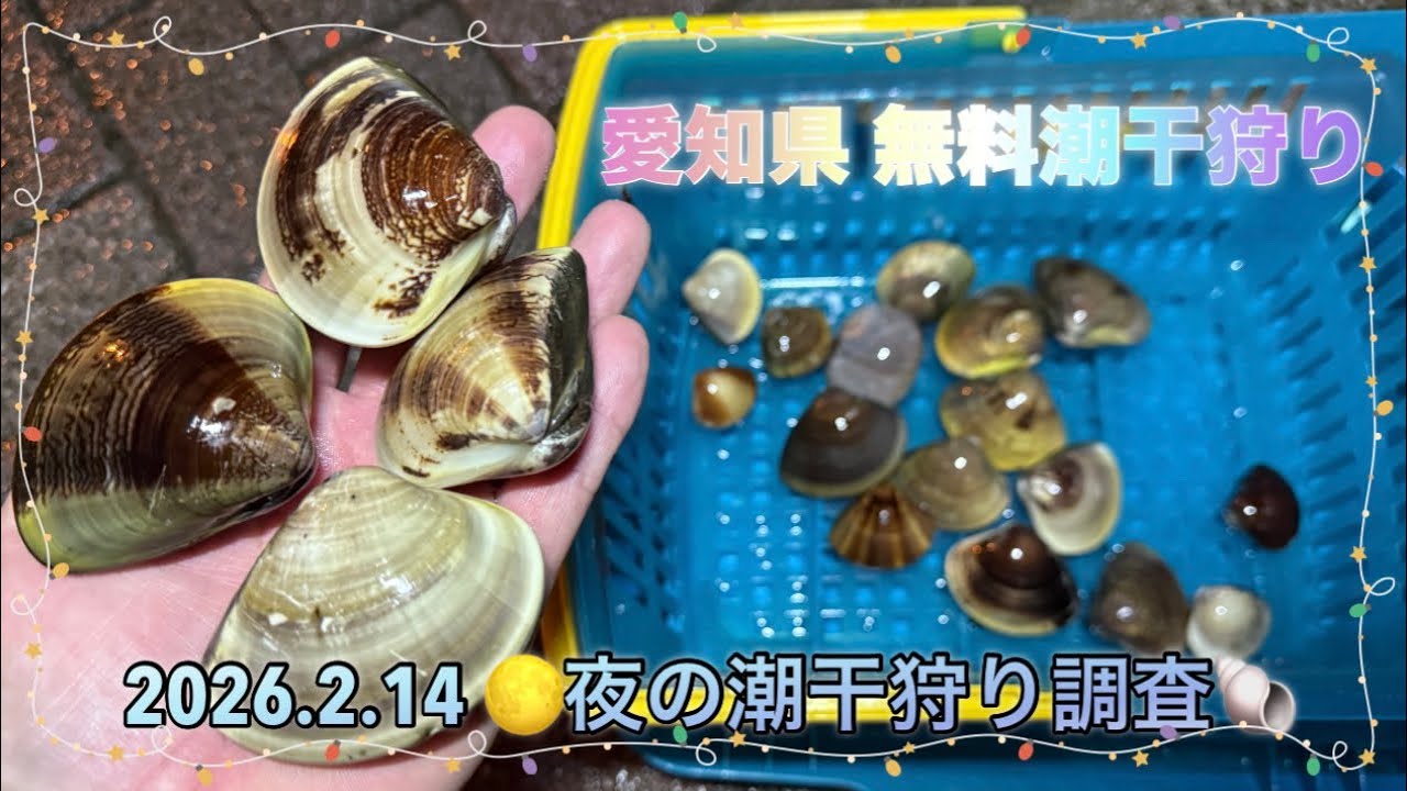 2026.2.14 愛知県 🌕夜の潮干狩り調査🐚