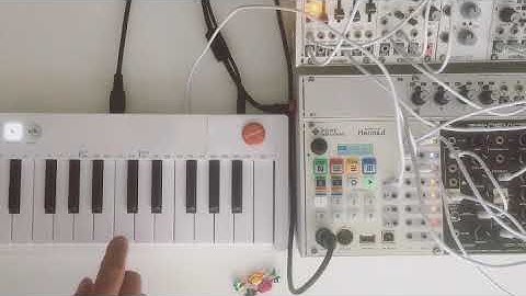 SQUARP HEMOD - TRANSPOSE SEQUENCE