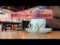 [海外生活vlog]Q&Aと自己紹介/海外移住のすすめ