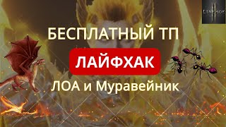 видео: Скрытый способ сэкономить алмазы — бесплатный телепорт в Лоа и Муравейник Lineage 2m картинка: Скрытый способ сэкономить алмазы — бесплатный телепорт в Лоа и Муравейник Lineage 2m