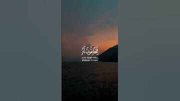 يوم يبعثهم الله جميعا | سورة المجادلة | الآية 18 القرائ مصطفى شريف #quran #اكسبلور