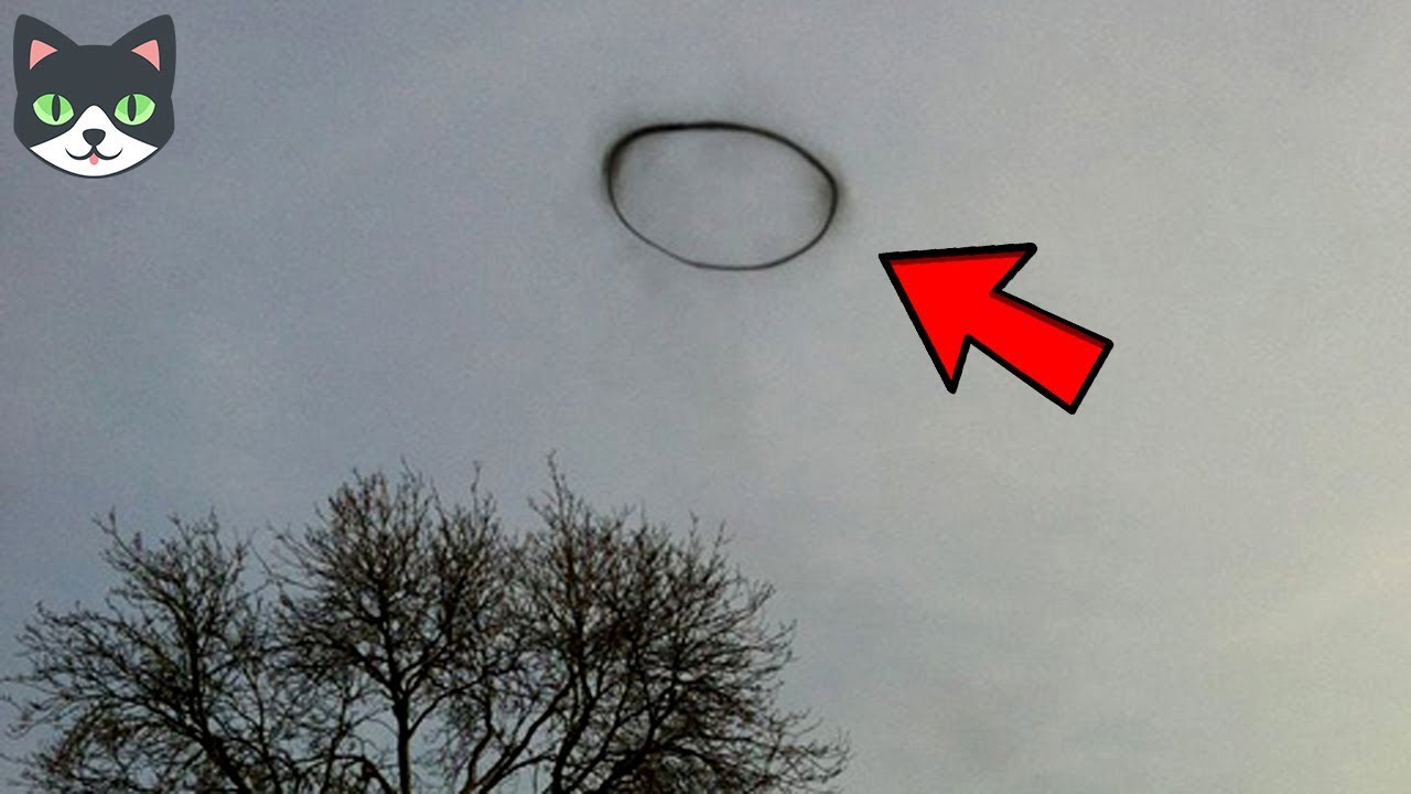 curiosidades que no sabias del cuerpo humano 7 VIDEOS QUE CONFIRMAN QUE VIVIMOS EN UNA SIMULACIÓN PARTE 9 | FALLAS EN LA REALIDAD