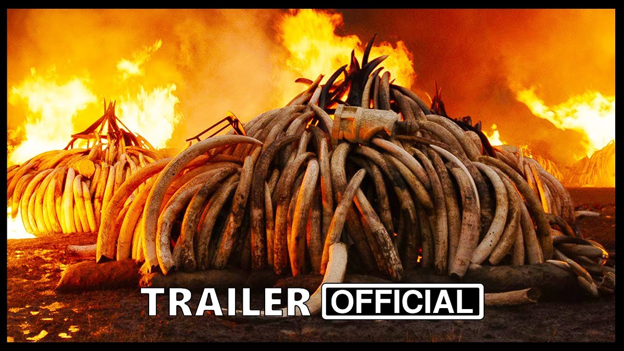 Anthropocene: The Human Epoch trailer