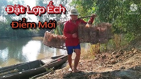 Đặt Lợp Ếch Mưu Sinh Trên Cánh Đồng Mới @ÚtMiềnTây