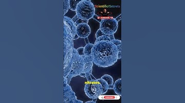 The Destructive Force That Secretly Feeds The Planet. #Science #Nature