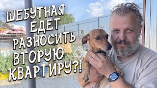 Спасение животных / Искра вернулась в приют / И едет в новый дом?!