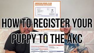 How To Register A Puppy To The Akc American Kennel Club