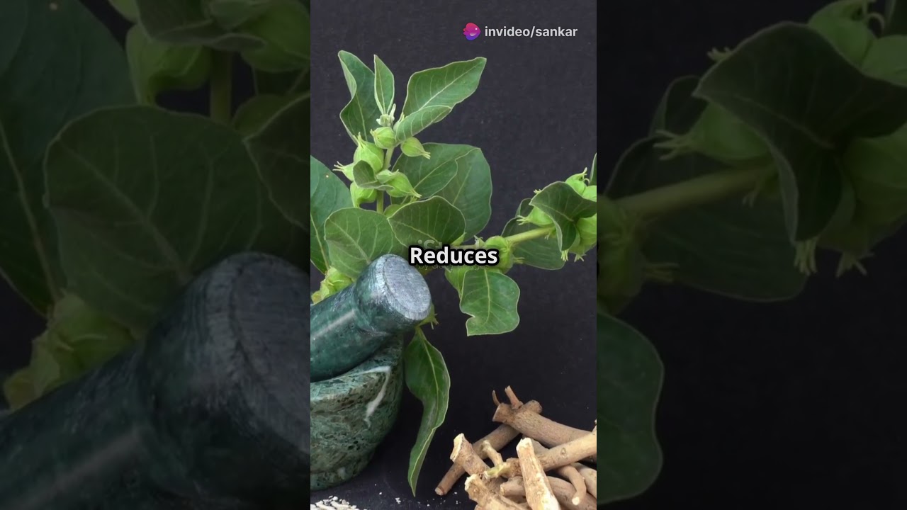 🌿 Nervovive Supplements  Boost Your Mind and Body!