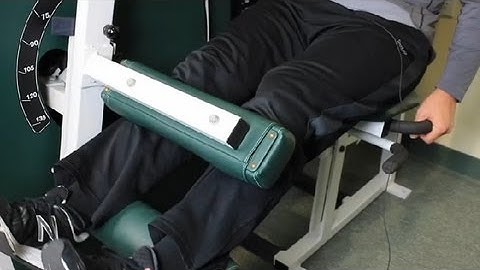 What Muscles Does a Hamstring Curl Work Out? : Exercise Techniques