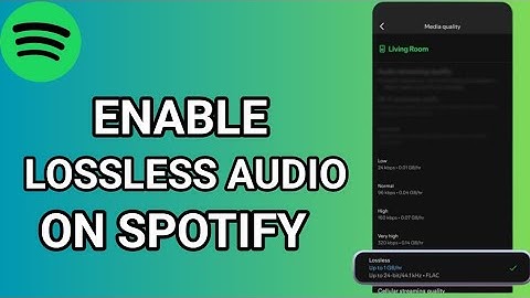 How to Enable Lossless Audio Spotify  [2025] | How to Get Lossless Audio on Spotify 