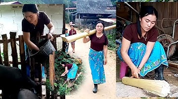 mu txiav kav tsawb pub npua nawb​