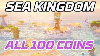 [Super Mario Odyssey] All Seaside Kingdom Coins (100 purple local coins) screenshot 1