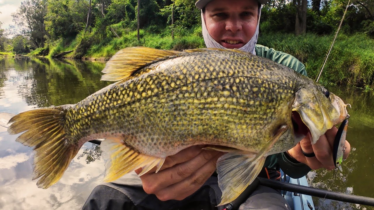 Bass After Bass From One Tiny Urban Creek Pool