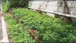 d58125ebda2e54e4ab98ff69d9efb87c