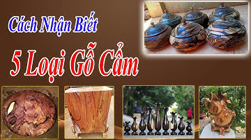 Cách Nhận Biết 5 Loại Gỗ Cẩm - ĐỒ GỖ VĂN SÁU