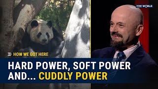 Soft-cuddly power: China's new face of panda diplomacy | How We Got Here screenshot 1